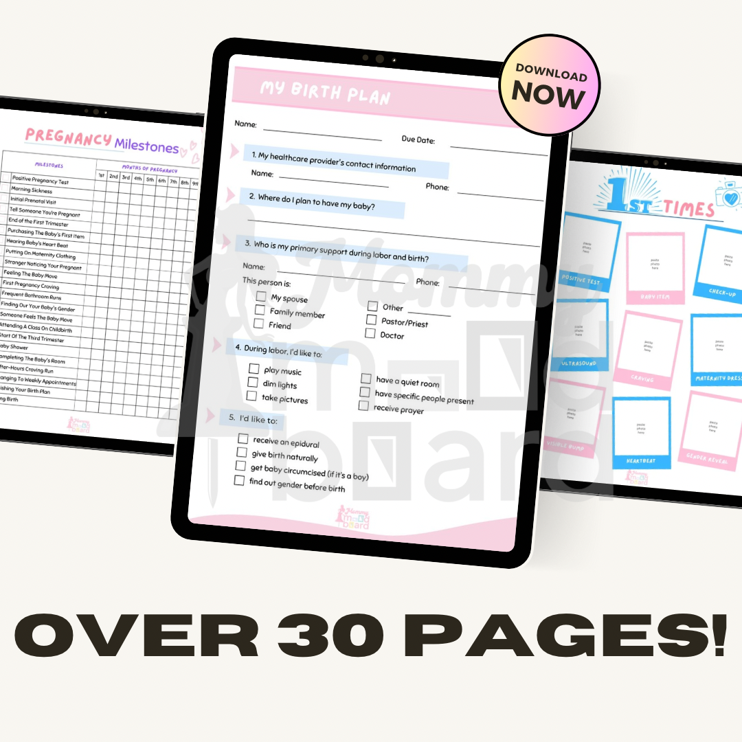 Pregnancy Journal (Paperback)