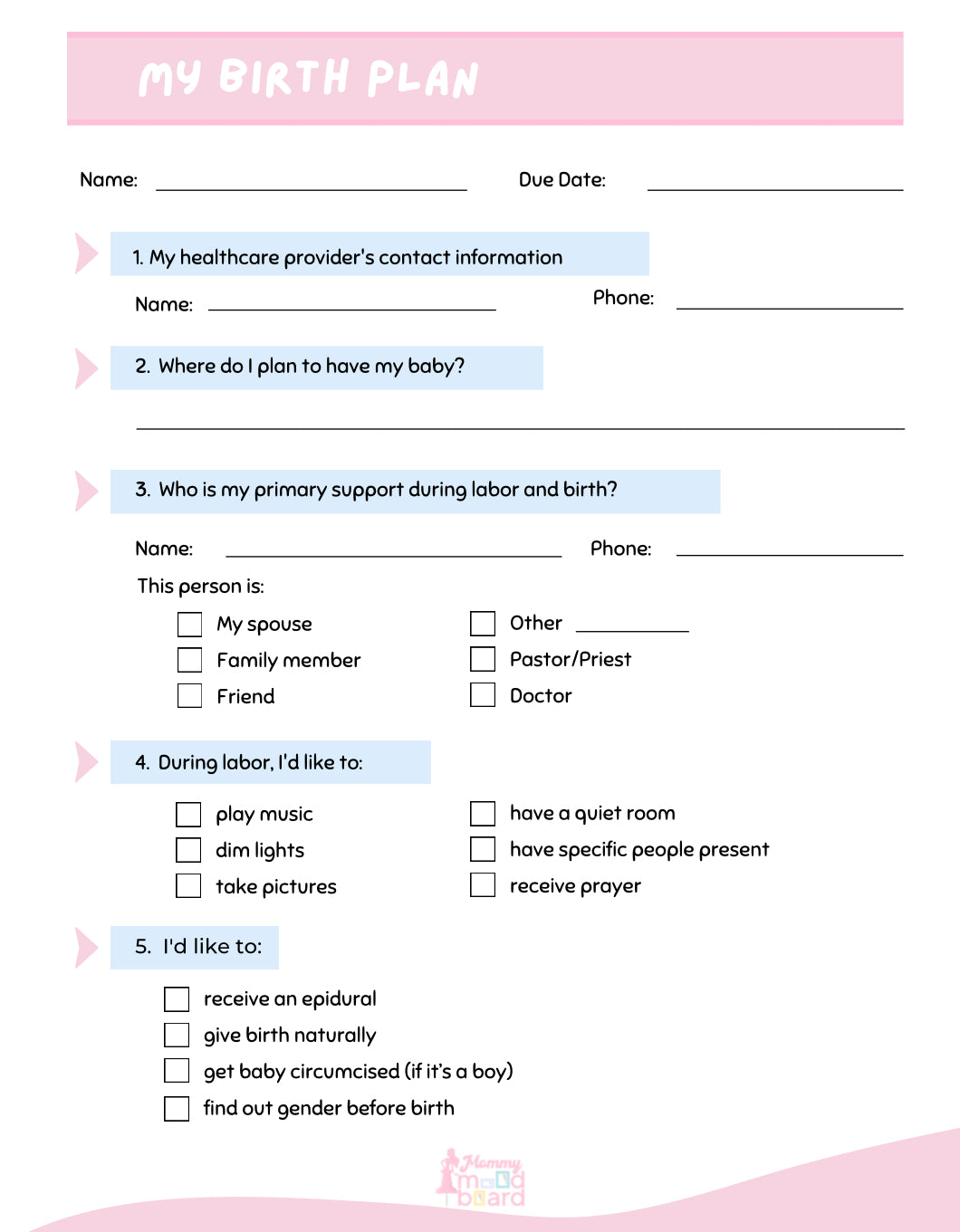 Pregnancy Journal (Paperback)