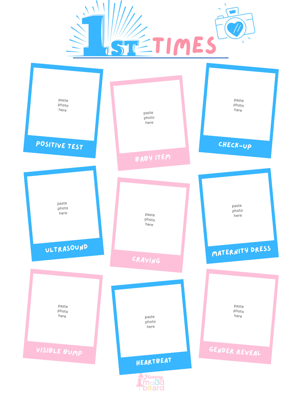 Pregnancy Journal (Paperback)